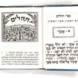 Tehillim / Salmi (Hebrew/Italian)