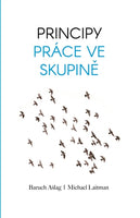 Principy práce ve skupině