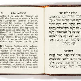 Tehillim / Psaumes (Hebrew/French)